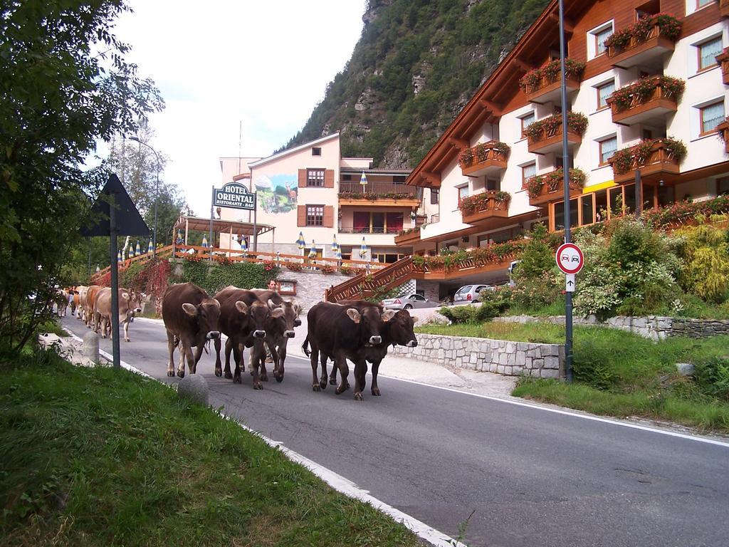 Alps Oriental Wellness Hotel Campodolcino Buitenkant foto